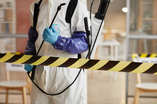 Professional Blood Cleanup technician working in Willow City, TX